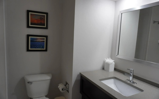 Comfort Inn & Suites Frisco - Plano