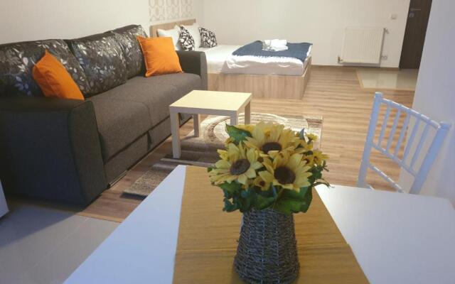 Apartment Villa