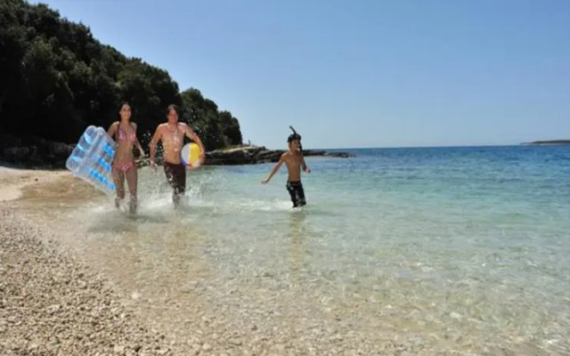 Apartments Volte 297