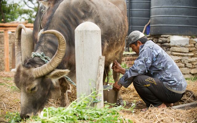 Hananoie-A Permaculture Resort