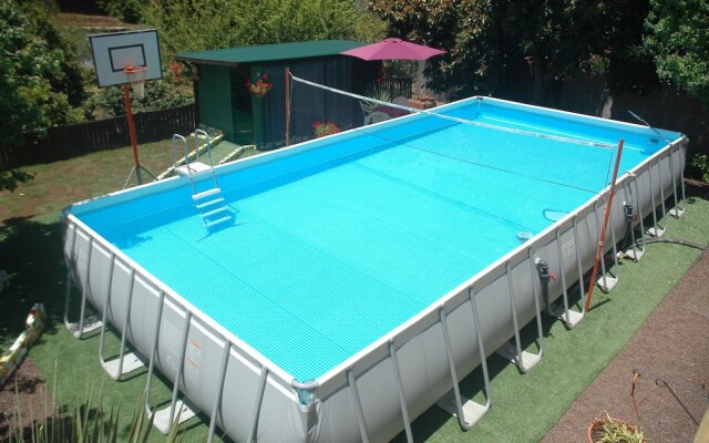 La Alpispa