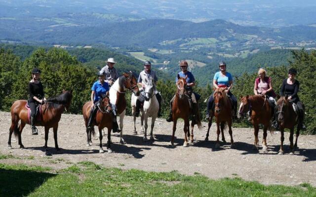 Guest House Glogovac