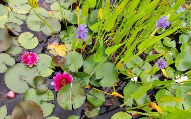 Villa des petites Chaumes