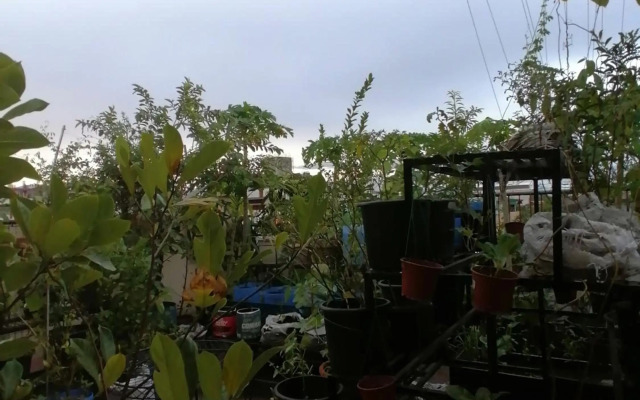 Two-Hearts Dormitory