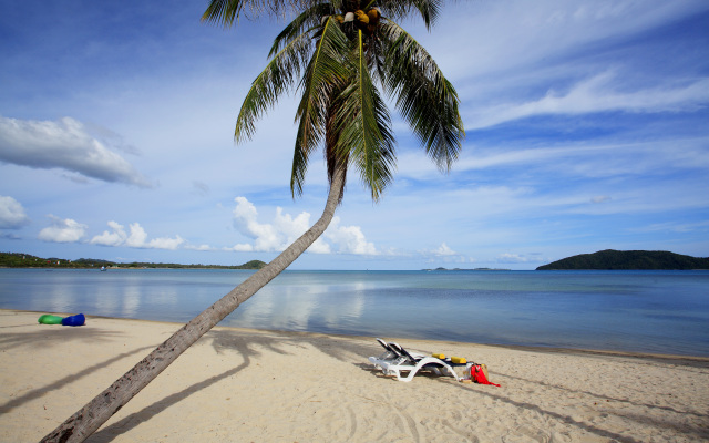 Centra Coconut Beach Resort Samui