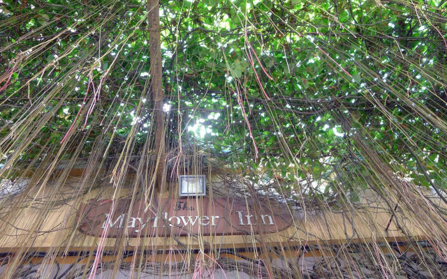 The Mayflower Inn