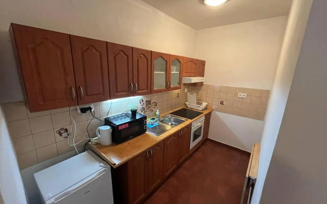 Apartment Spolkova