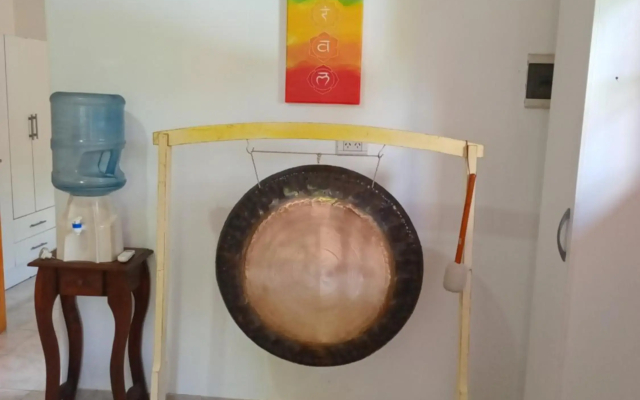 Sala Gongs