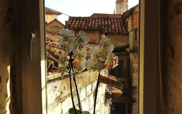 Guest House Tragurion
