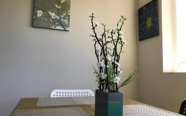 Seattle Urban Village