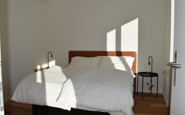 Apartment Jungfrauview