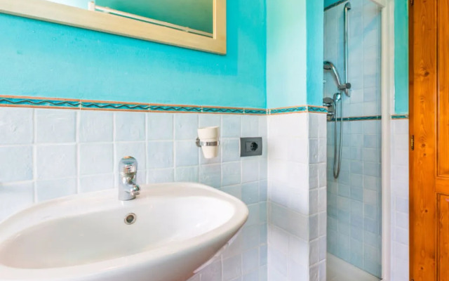 Il Cipresso (CTF122)