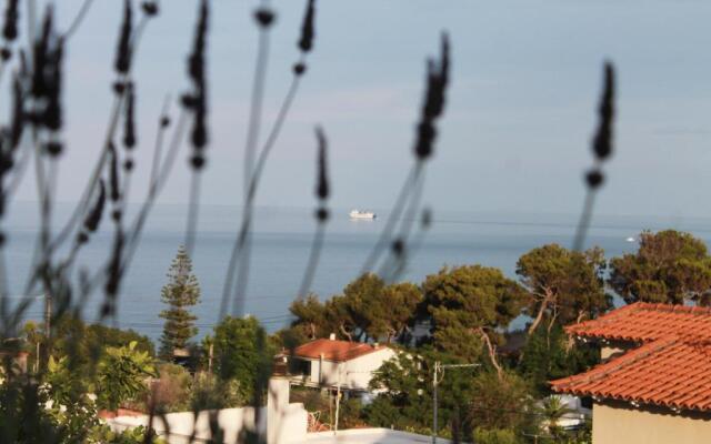 Sea View Apartment 15 Min From Athens Airport