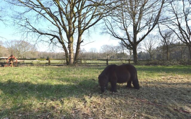 Spacious Holiday Home near Forest in Peer