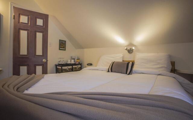 Les Pinsons des Rives