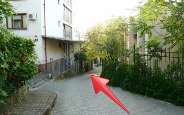 Hostel Red Cat