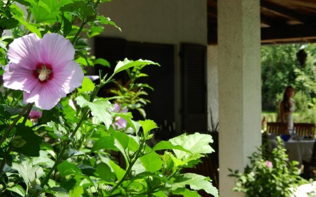 Hibiscus Guest House