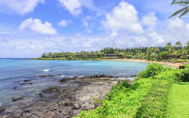 Napili Shores D229 Studio Bedroom Condo by RedAwning