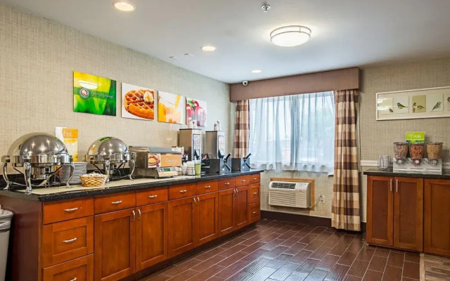 Quality Inn & Suites Pacific Seattle
