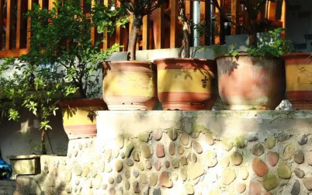 Hongya Liujiang Ancient Town Alsophila spinulosa B&B