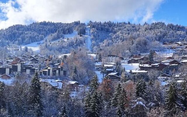 Castel Des Roches 37737