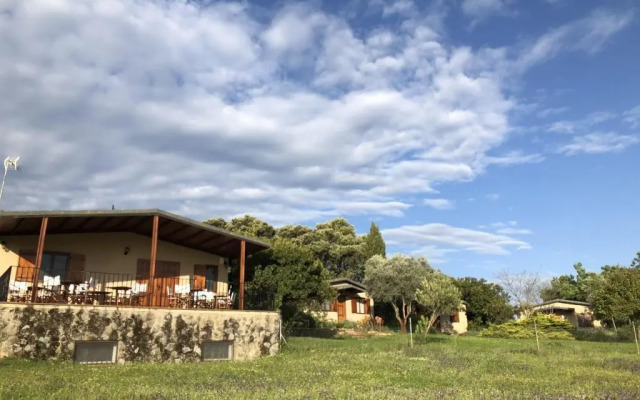 La Cerca Del Alcornoque