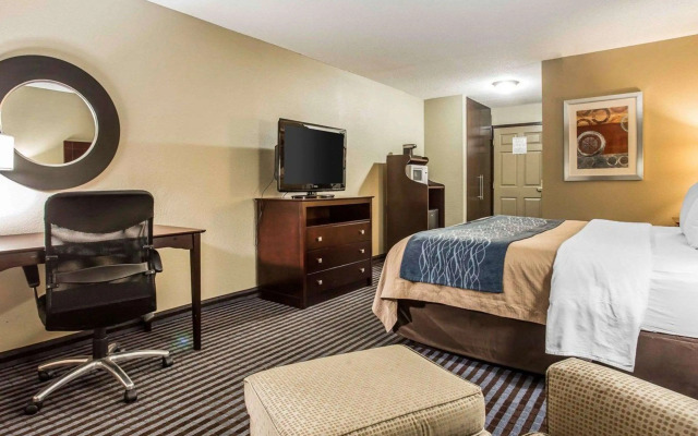 Comfort Inn & Suites Ballpark Area