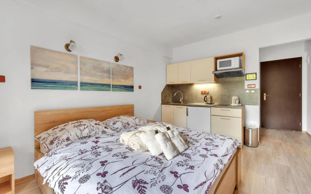 Apartmán Rezidence Rokytnice