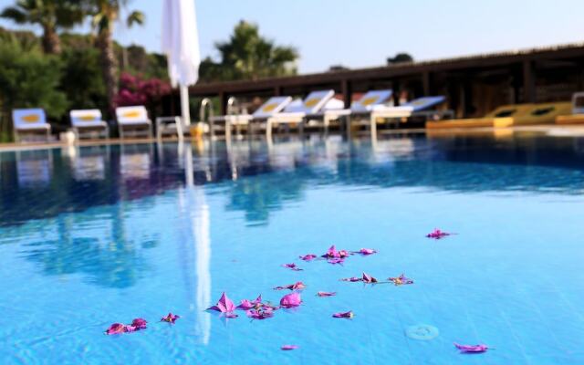 Ceshme Plus Hotel