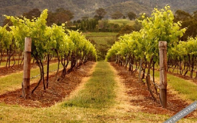 Rothvale Winery  Vineyard Cottages