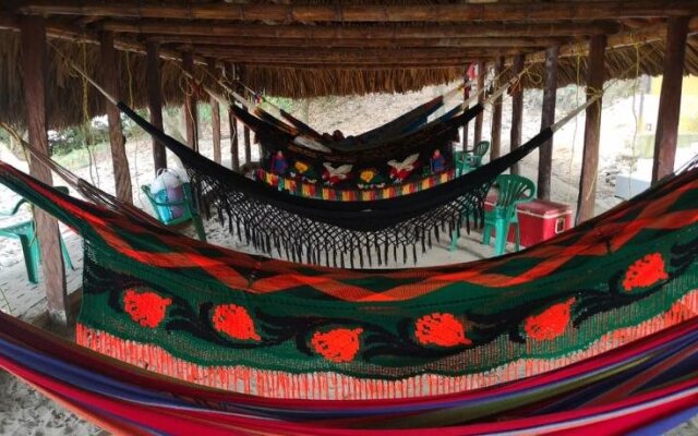 Posada Ecoturistica Palmares Del Rio