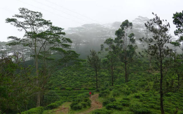 Misty Hills Bungalow