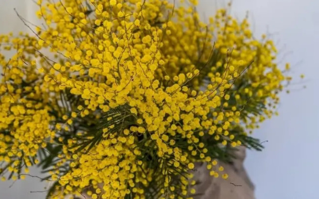 Relais Country Resort