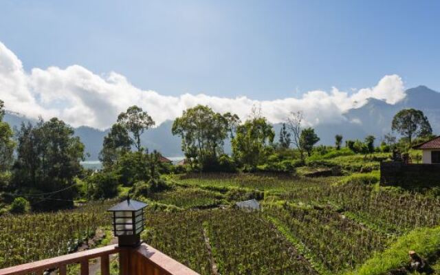 Mount Batur Villa