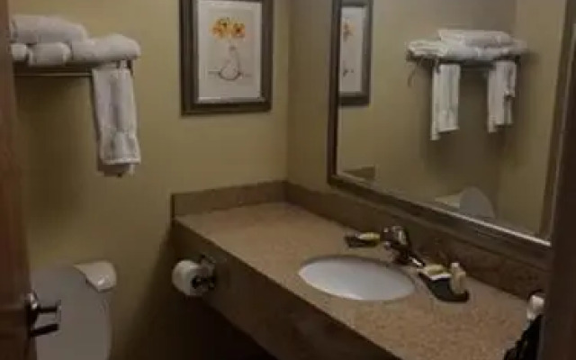 Rose Palace Hotel Gulberg