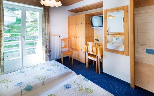 Hotel Alpina