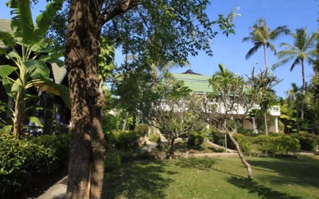 Palm Island