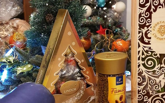 Rezydencja Tatry - Apartament Chamerion 1