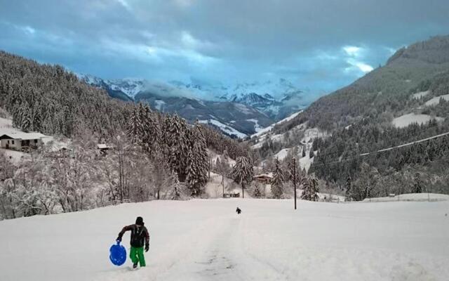 Biobergbauernhof Brandenau