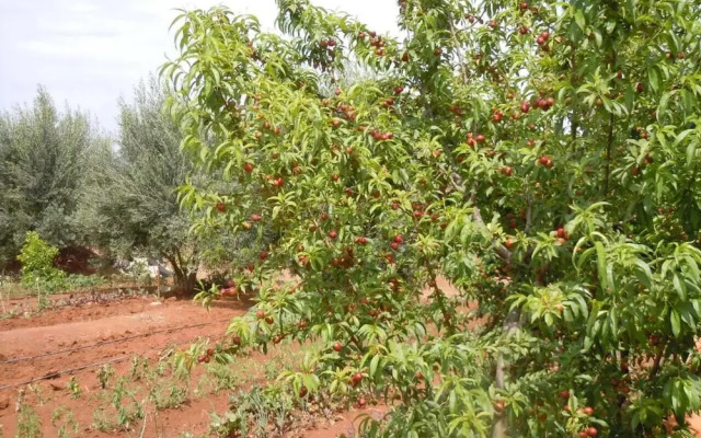 Riad Jnane Ines