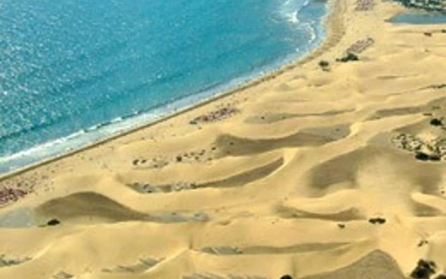 Canoa Palmera Oasis 2