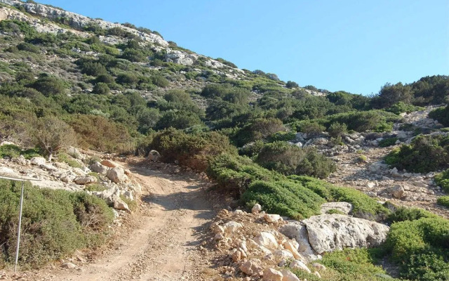 Shivas Village Hotel