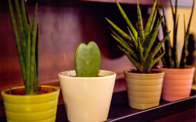 Maison La Nunziatina