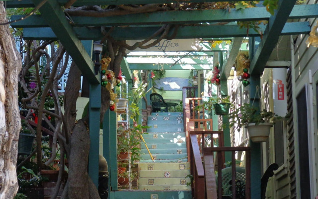 La Paloma Las Flores
