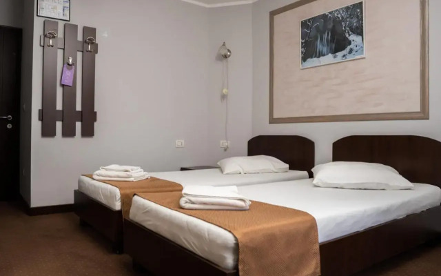 Pensiunea Lido Moisei