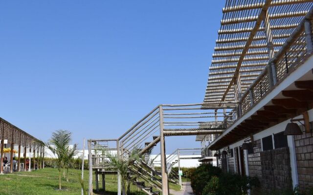 The Zarcillo Paradise