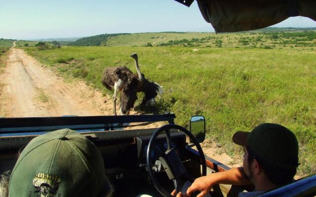 Buccaneers Lodge & Backpackers