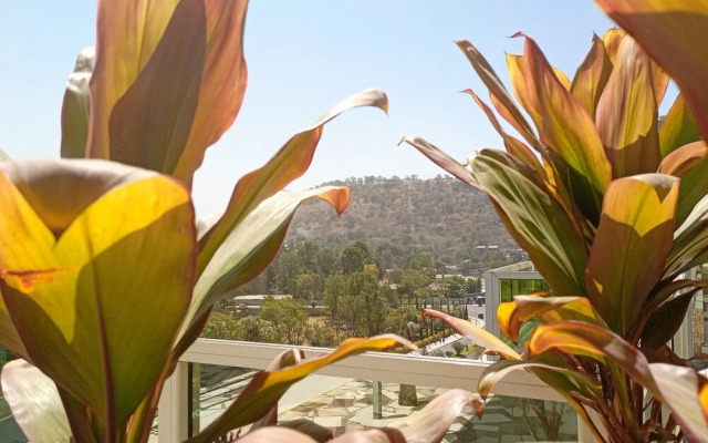 Central Hawassa hotel