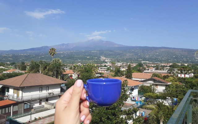 Mama koala beach apartment
