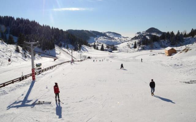 Cheile Gradistei Resort Fundata